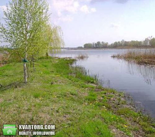 Rent out house. Киев,  Осокорская — photo 10