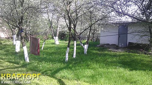 Sell house. Киевская обл., Шевченко — photo 7