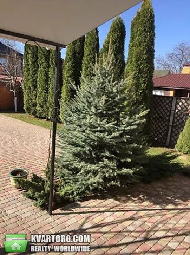 Sell house. Киев, Абрикосовая — photo 3