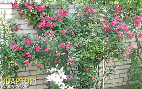 Sell house. Киев,  Крылова — photo 6