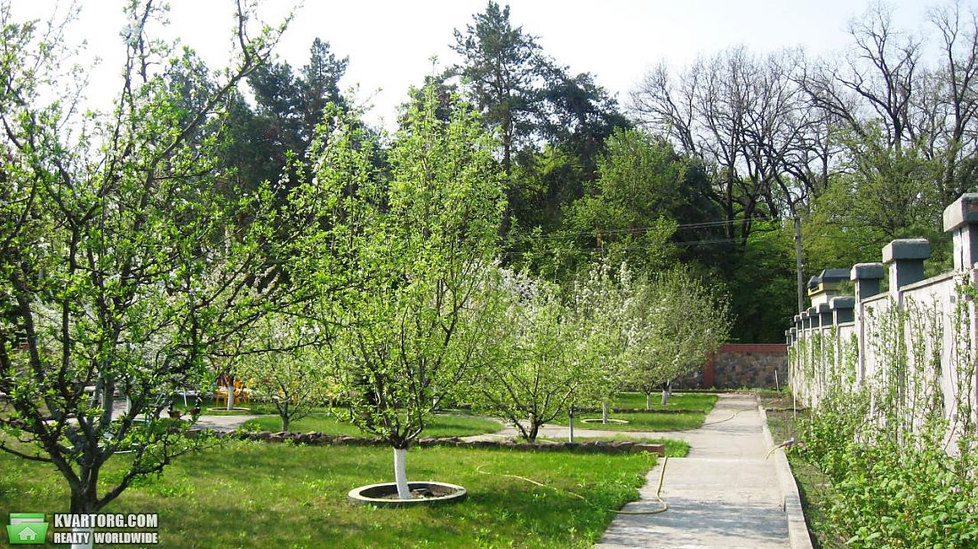 Rent out house. Киевская обл., Лесники — photo 7