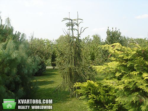 Sell house. Киев, Осокорки — photo 3