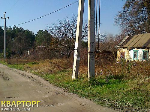 Sell house. Васильков, Плесецьке — photo 3