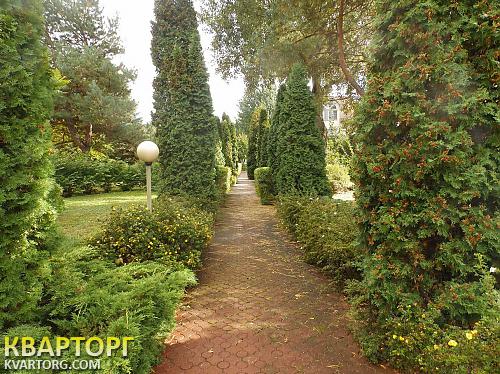 Rent out house. Киевская обл., Козин — photo 10