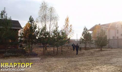 Sell house. Киевская обл., Новые Безрадичи — photo 4