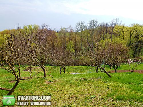 Sell house. Киевская обл., Воровского — photo 4