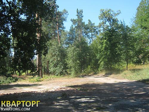 Sell house. Киевская обл., 8 яа линия — photo 3