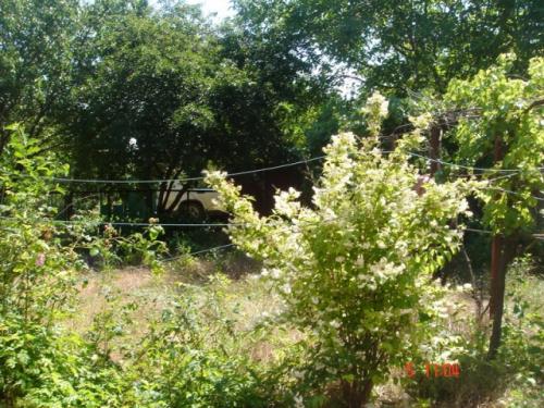 Sell house. Одесса, Солнечный — photo 6