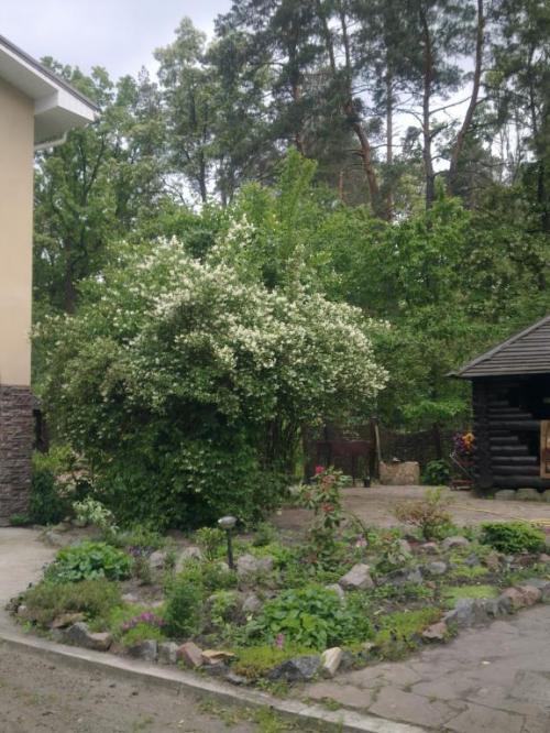 Sell house. Киевская обл., Киевская — photo 7