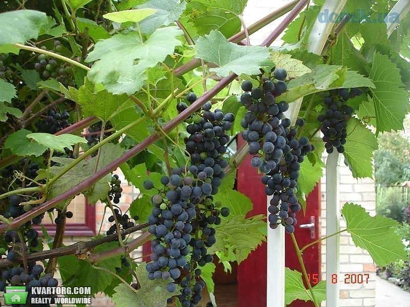 Sell house. Киев,  Садовая Осокорки — photo 4