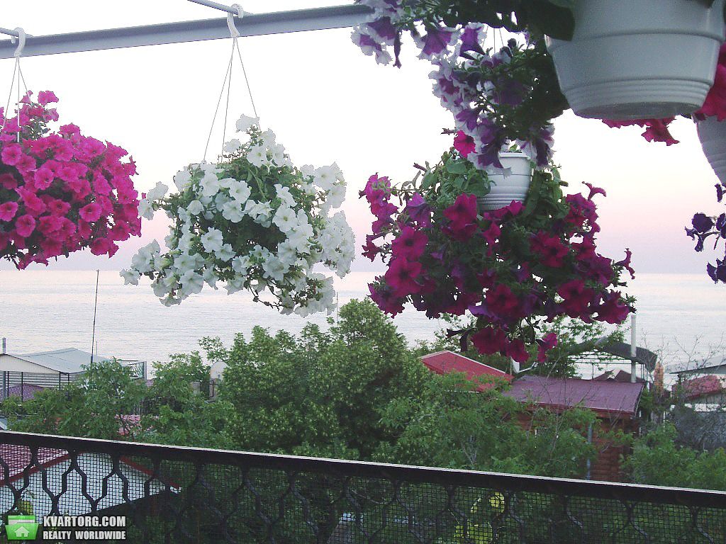 Sell house. Одесса, Цветочная — photo 10