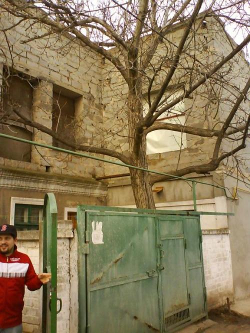 Sell house. Одесса, переулок Павлова — photo 1
