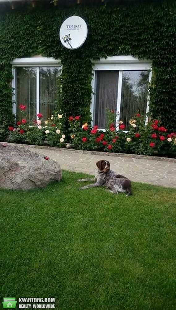 Sell house. Борисполь, Кийлів — photo 7