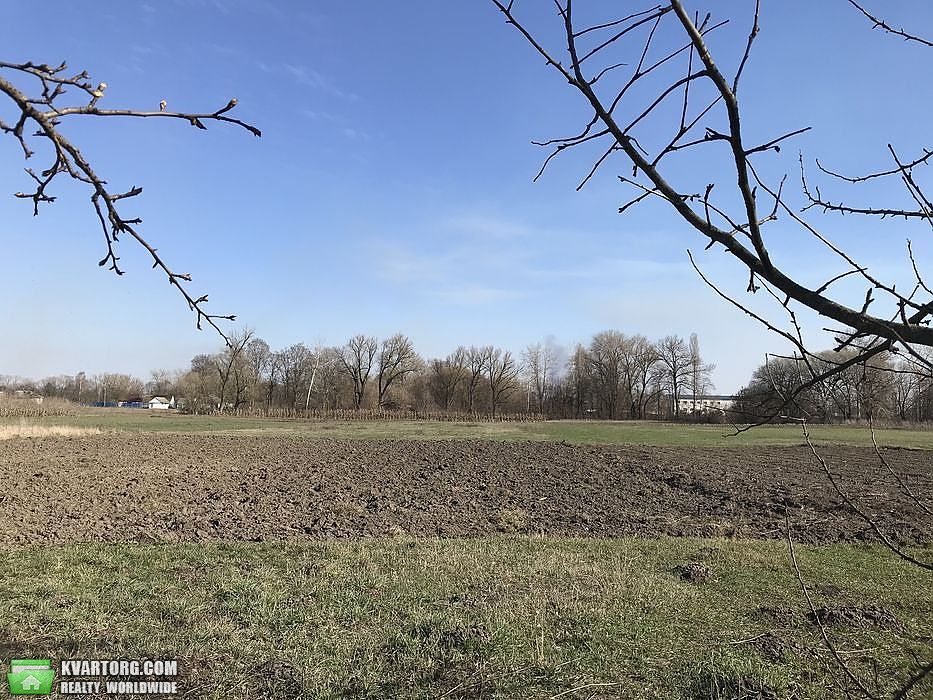 Sell house. Киевская обл., Паришків — photo 8