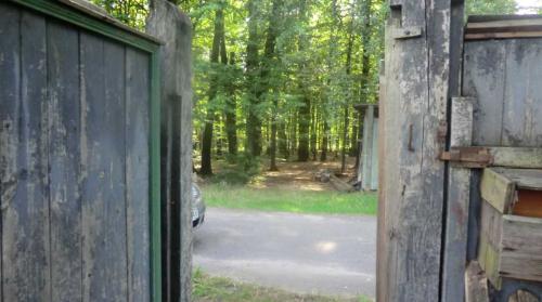 Sell house. Киевская обл., Леваяя — photo 4