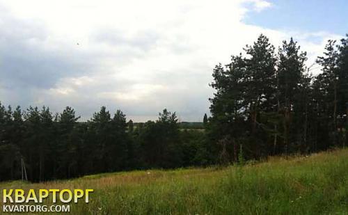 Sell house. Киевская обл., Лесники — photo 9