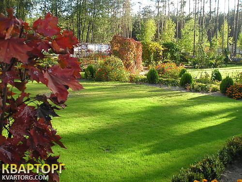 Sell house. Киев, Белогородка — photo 9