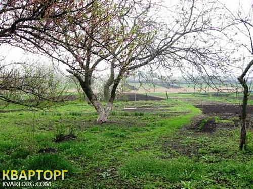 Sell house. Киевская обл., г.Узин — photo 7