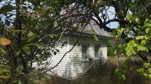 Sell house. Киевская обл., Ленина — photo 7