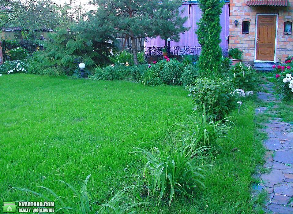 Rent out house. Киевская обл., Новые Безрадичи — photo 9