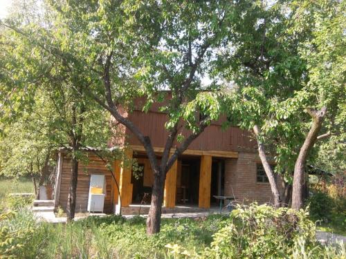 Sell house. Киевская обл., ст — photo 2