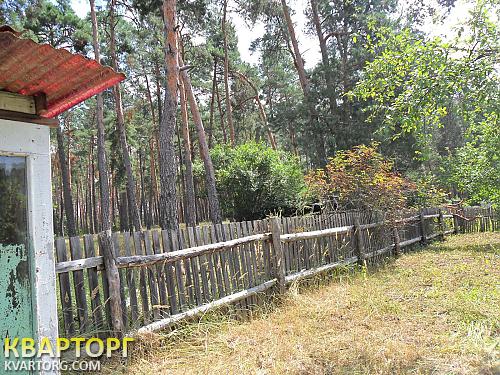 Sell house. Киевская обл., Песковка — photo 4