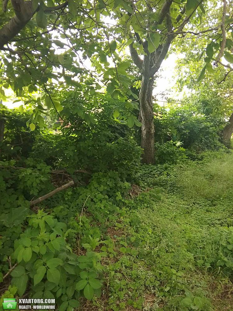 Sell house. Одесса, Центральная — photo 6