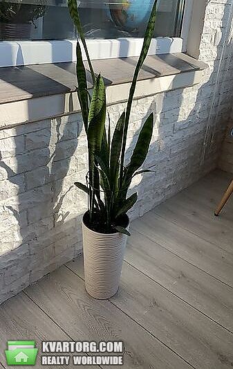 Sell 2-room apartment. Киев,  Запорожца — photo 7