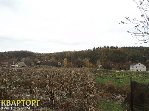 Sell house. Киевская обл., Халепье — photo 4