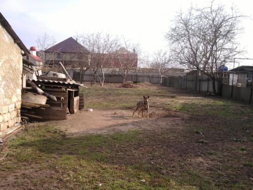 Sell house. Одесса, Сосюры — photo 4