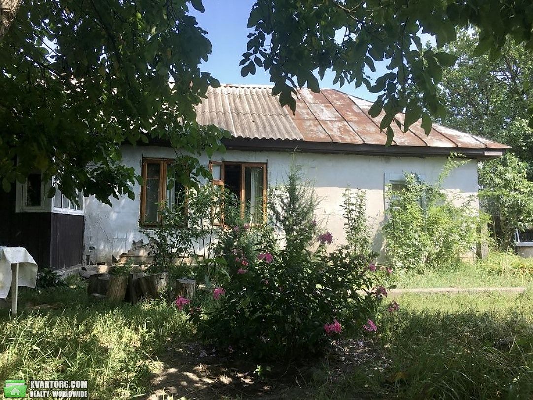 Sell house. Киевская обл., Пилиповичі — photo 1