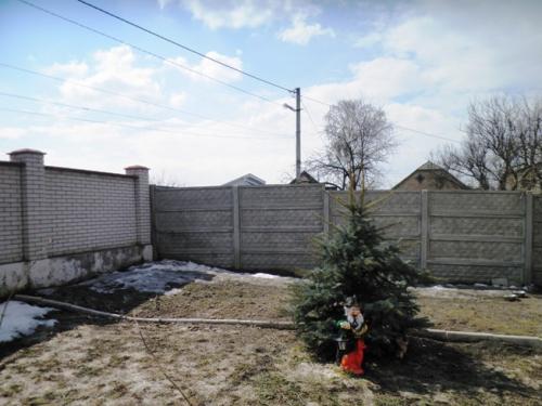 Sell house. Киевская обл., Франка — photo 5