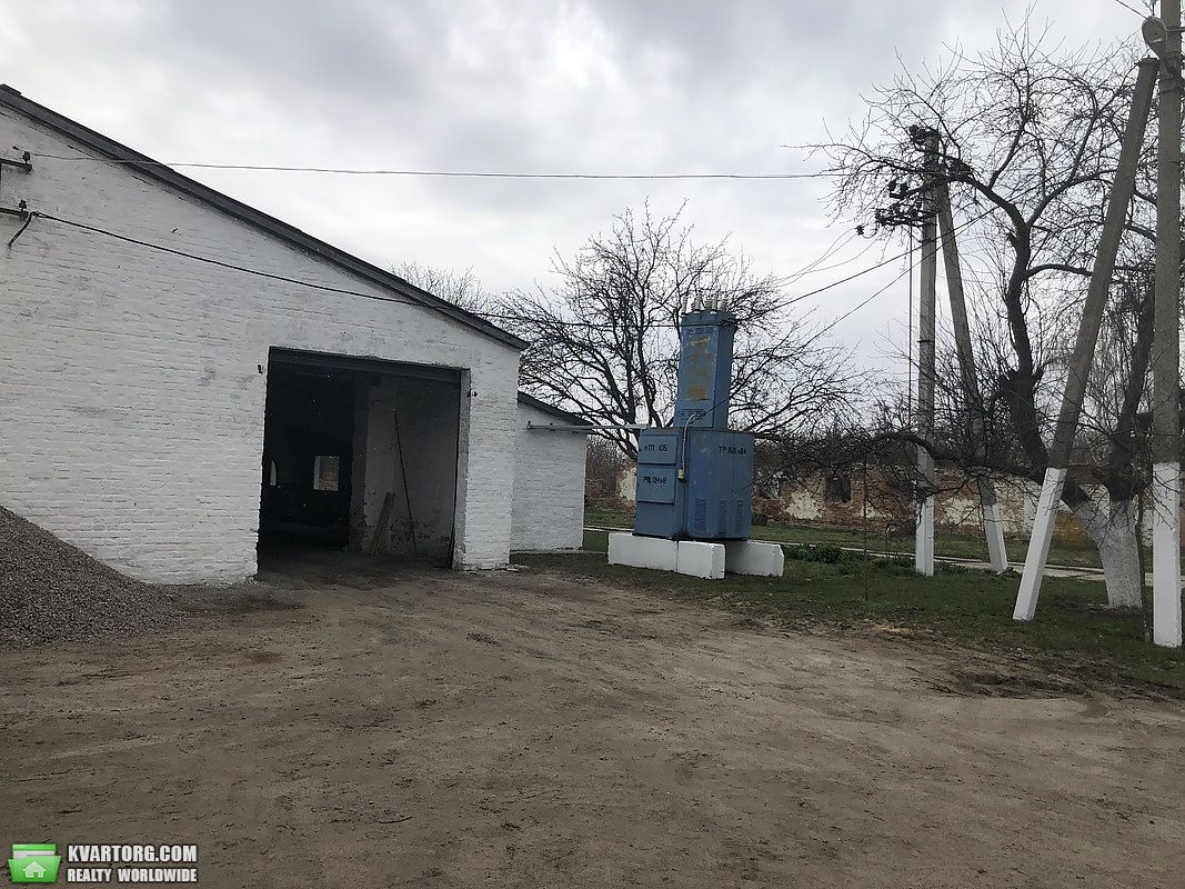 Sell house. Киевская обл., Стави — photo 7