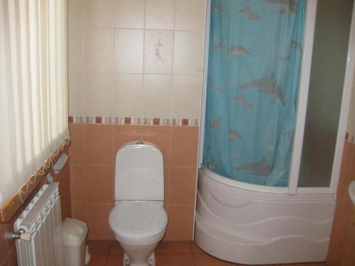 Sell house. Киевская обл., пер. Садовый — photo 8