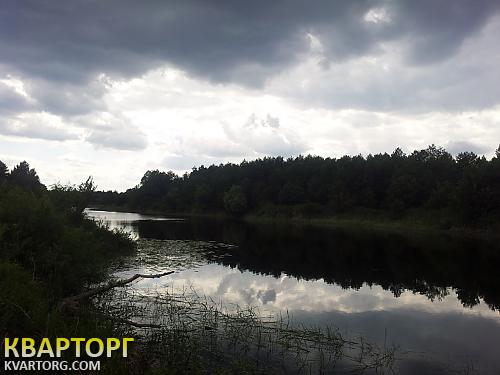 Sell house. Киевская обл., Канев — photo 4