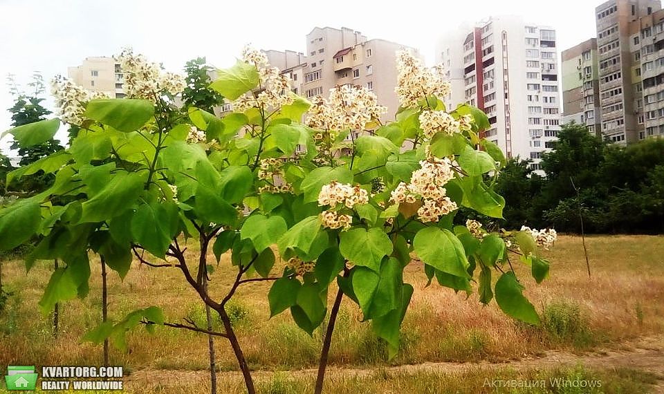 Sell 1-room apartment. Одесса, Высоцкого — photo 1
