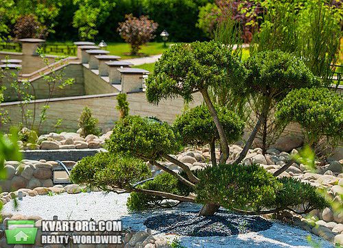 Sell house. Киевская обл., КГ Альбатрос — photo 6