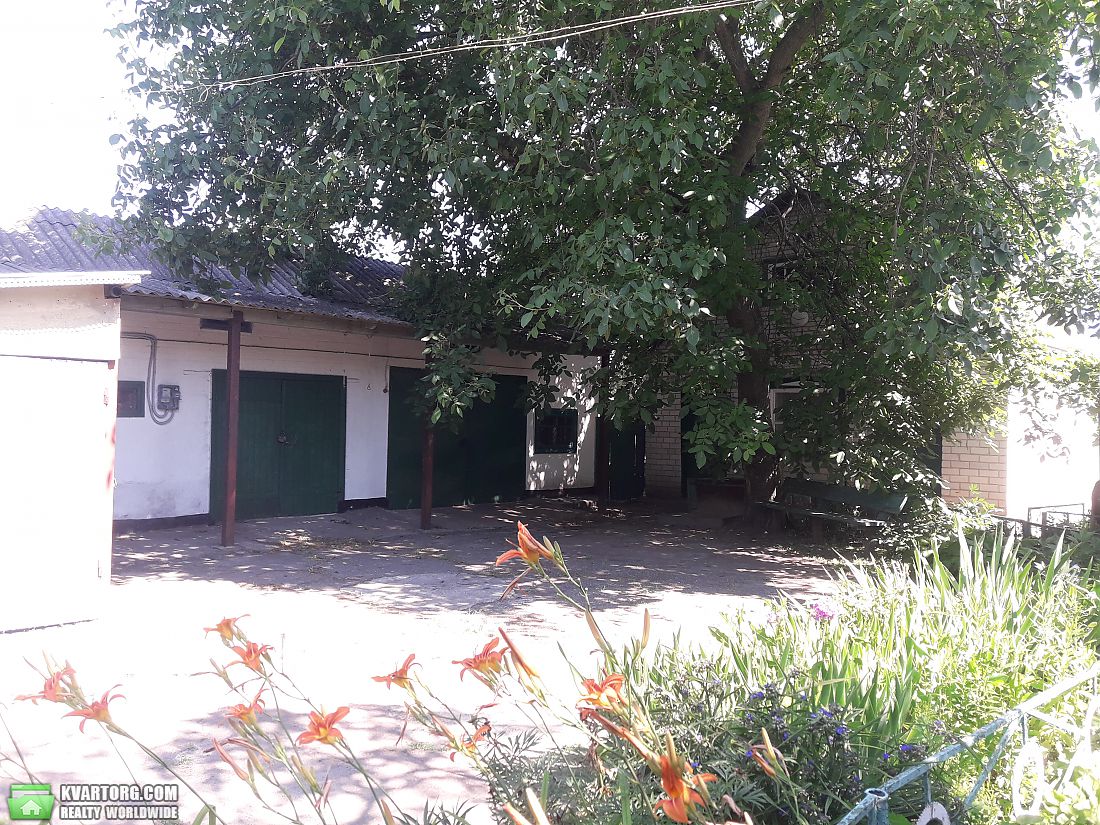 Sell house. Киевская обл., Шевченко — photo 8
