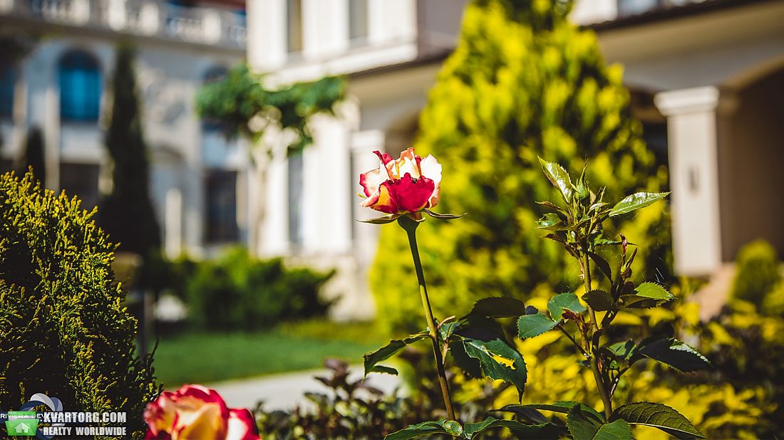 Sell house. Одесса, Черноморская ривьера — photo 5