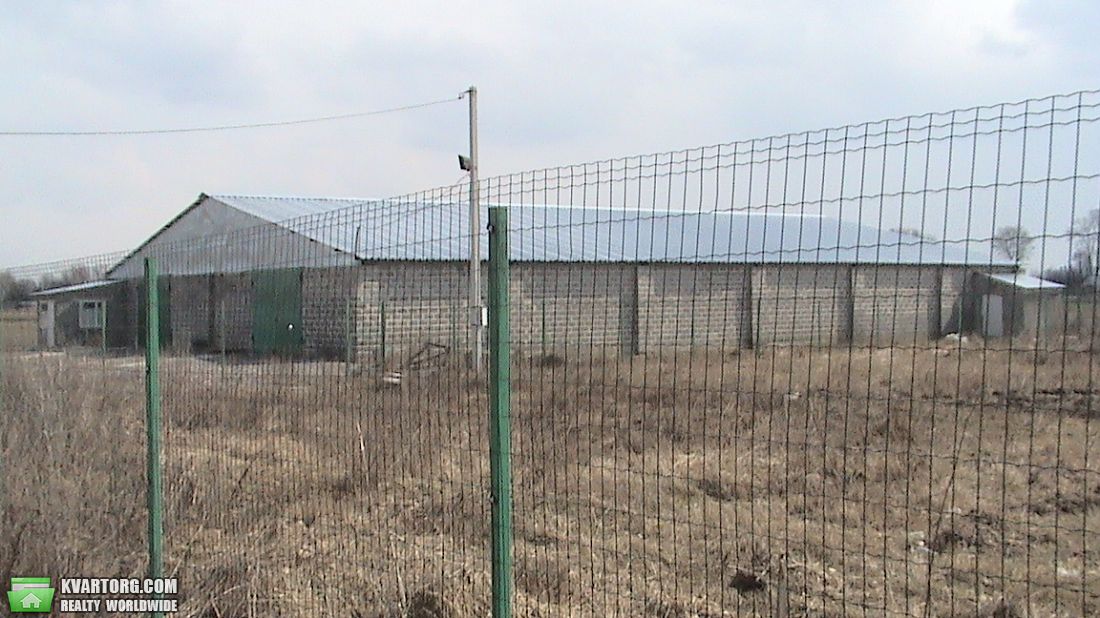 Sell warehouse. Киевская обл., гагарина — photo 1