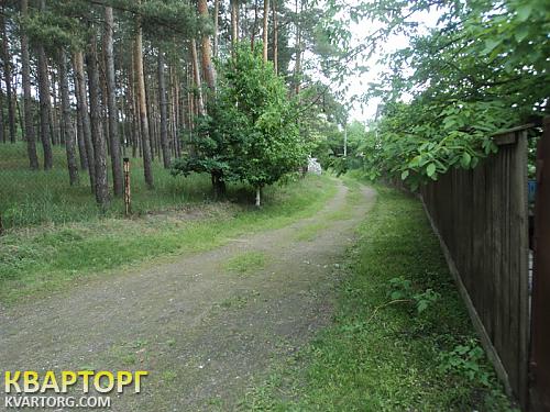 Sell house. Киевская обл., Подгорцы — photo 9