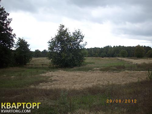 Sell house. Киевская обл., Киевская — photo 2
