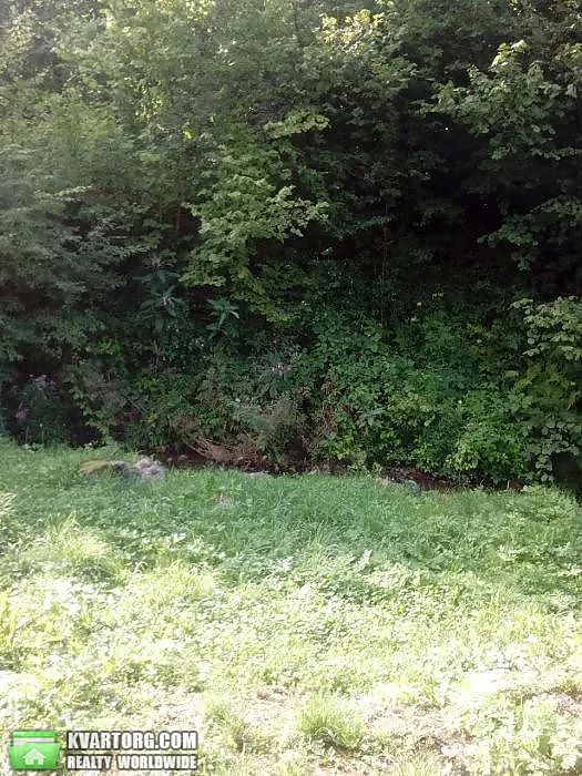Sell house. Ужгород, Центральная — photo 10