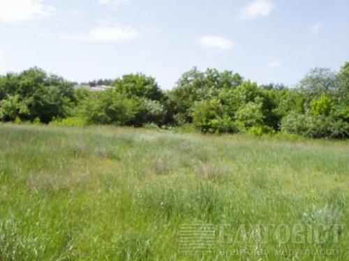 Sell house. Киевская обл., Кармелюка — photo 10