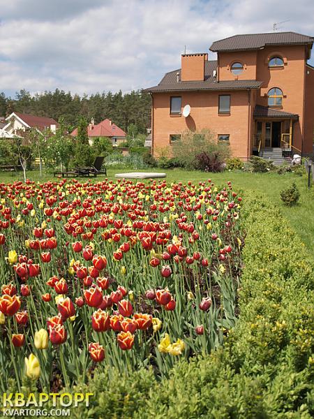 Rent out house. Киевская обл., с.Чайки — photo 1