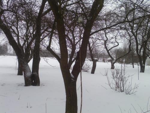 Sell house. Винница, Калинина — photo 6