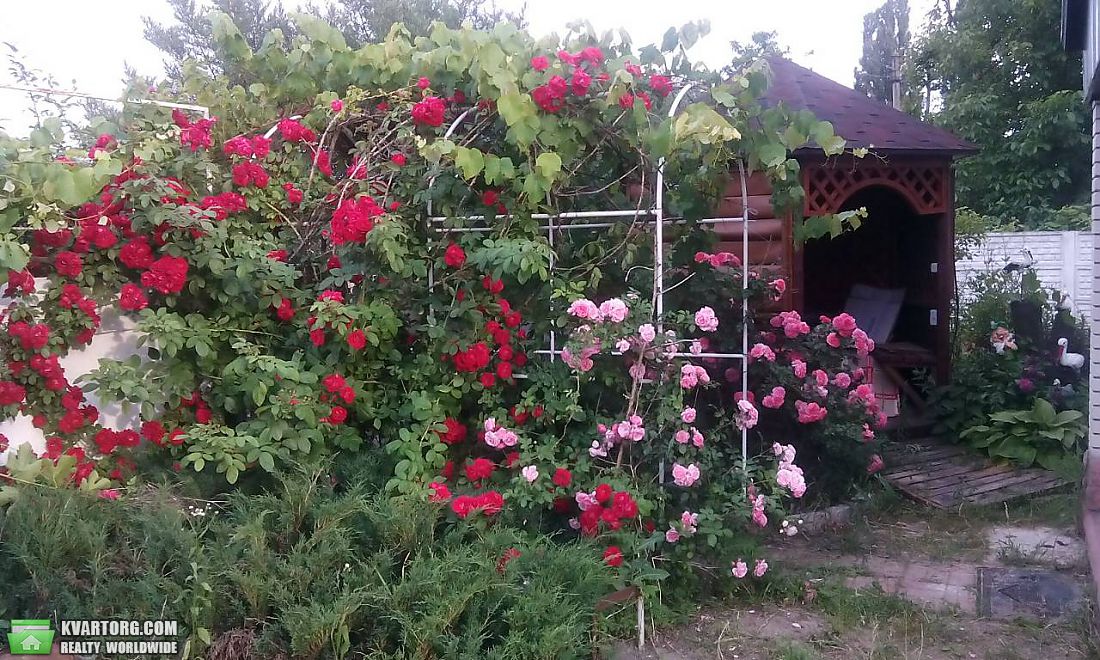 Sell house. Киевская обл.,  Красиловская — photo 4