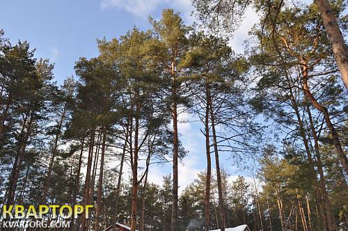 Sell house. Буча, Революции — photo 2