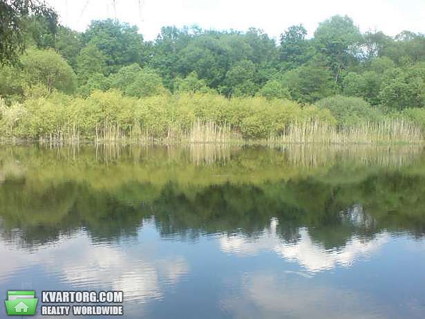 Sell house. Чернигов, с.Полонки — photo 7