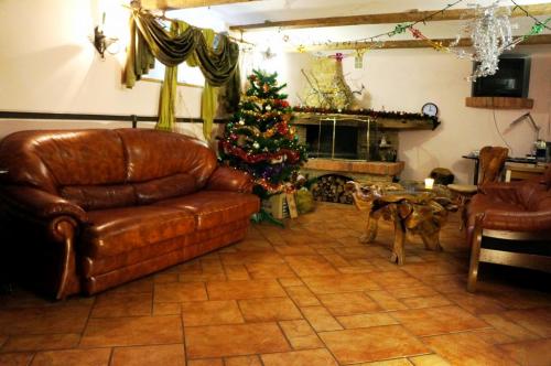 Sell house. Винница, Пушкина — photo 1